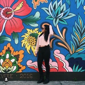 Brandy Melville Cropped Hoodie